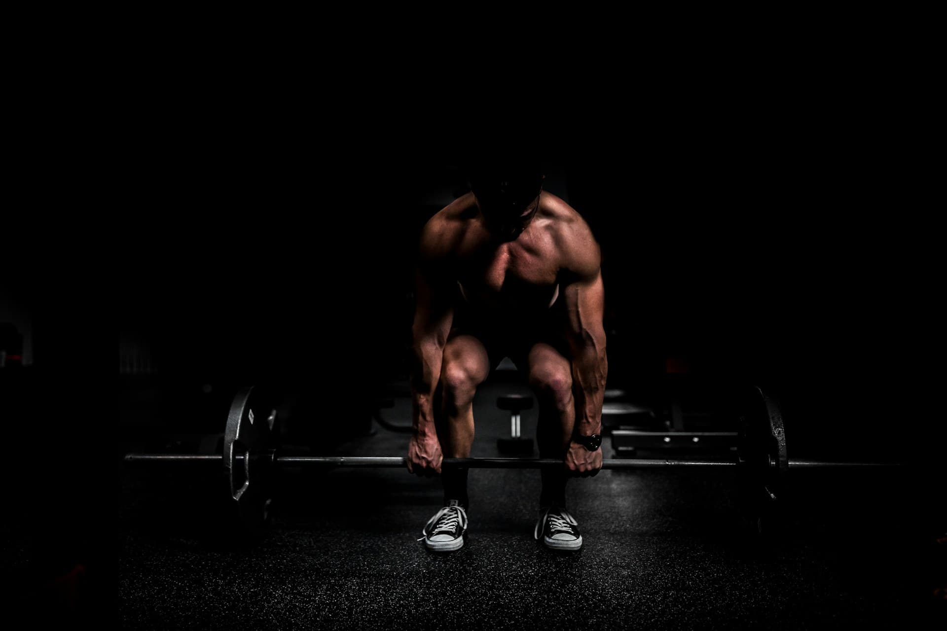 Cardio zone — treadmills and endurance machines