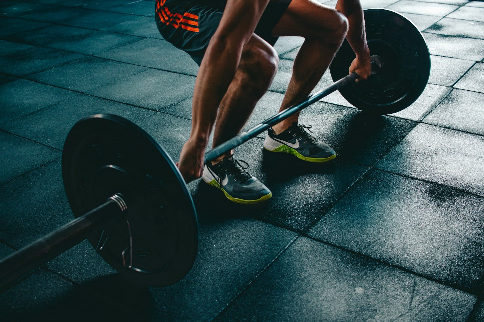 IRONFORGE GYM interior — state-of-the-art equipment